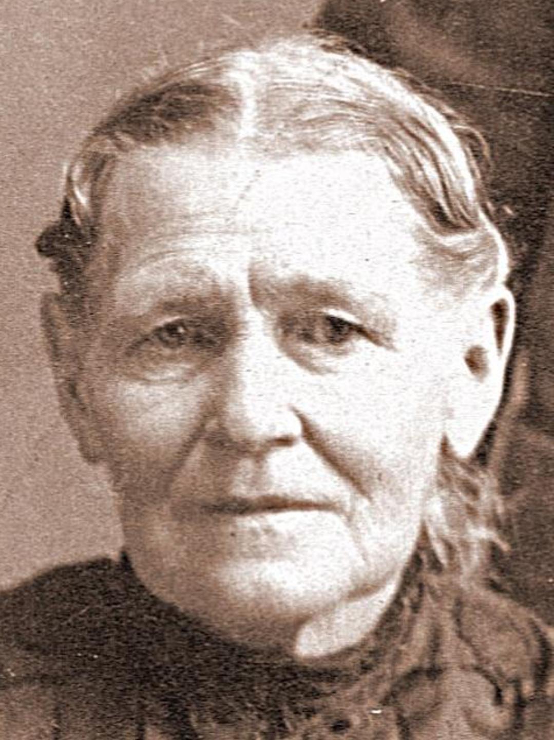 Sophronia Rosannah Molen (1837 - 1911) Profile